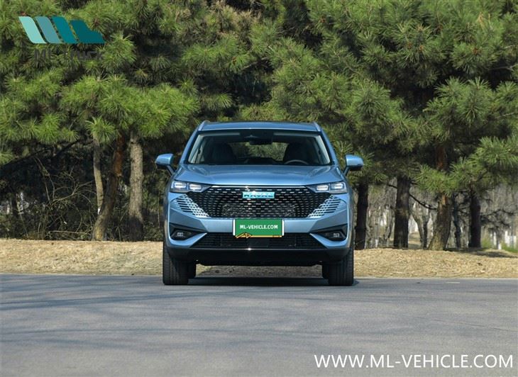 HAVAL H6 PHEV