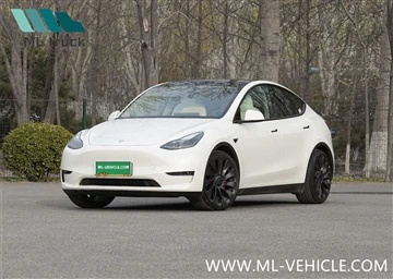 أصبح طراز Tesla Y ثاني أفضل طراز مبيعًا في أمريكا الشمالية