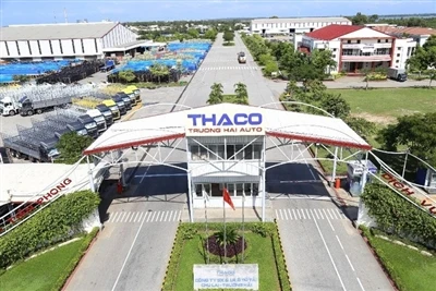 تنظر مجموعة Truong Hai Group الفيتنامية في بيع حصة الأقلية في قسم السيارات