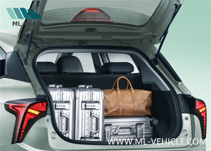 Neta V Electric Car 2023