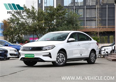 دونغفنغ فورثينج S60 EV