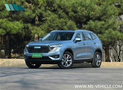 هافال H6 PHEV