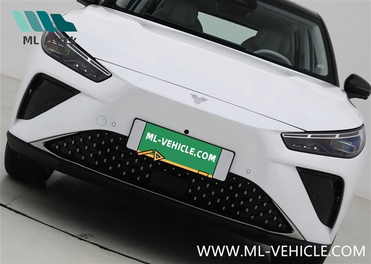 2024 NETA L Reev SUV